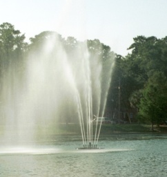 [The Lake Ella fountain]